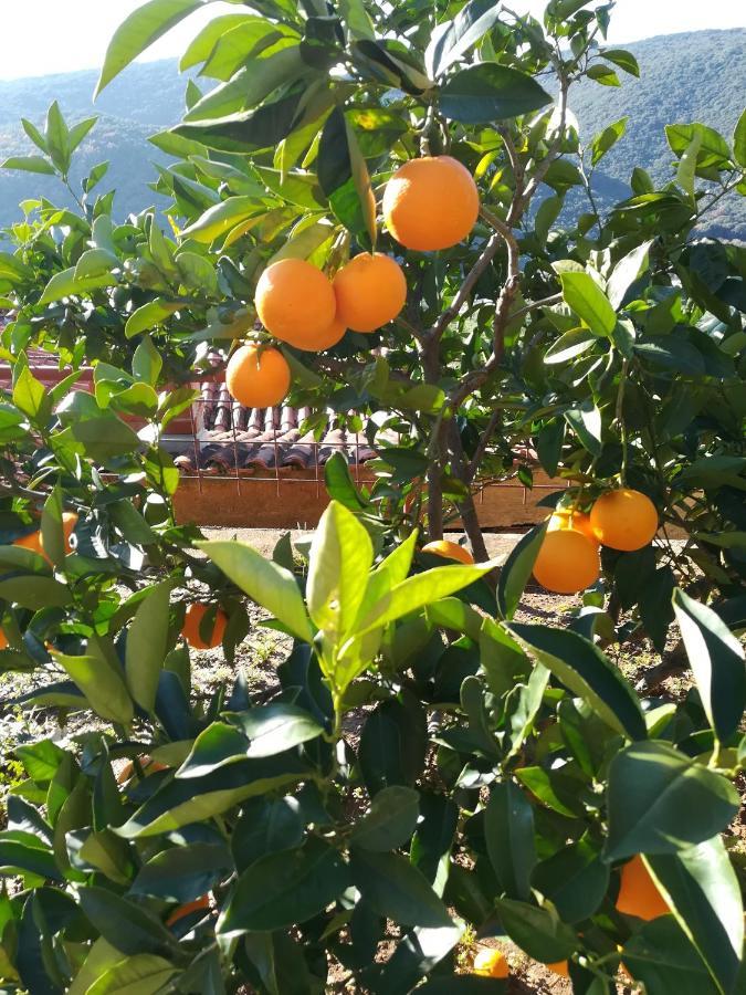 Tangerine Apartment Rabac Exterior foto